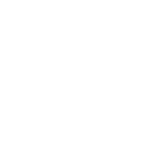 Angelz Healthy Hair, LLC