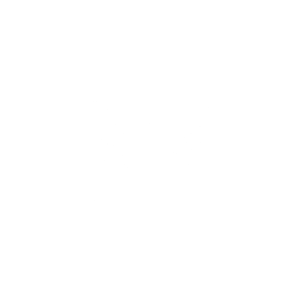 Angelz Healthy Hair, LLC